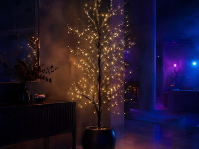 Arbres Lumineux