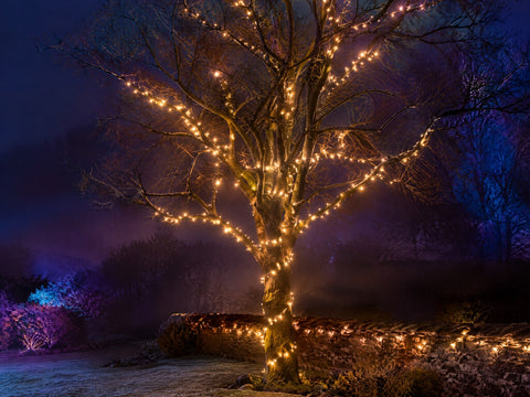 Guirlandes Lumineuses Extérieur