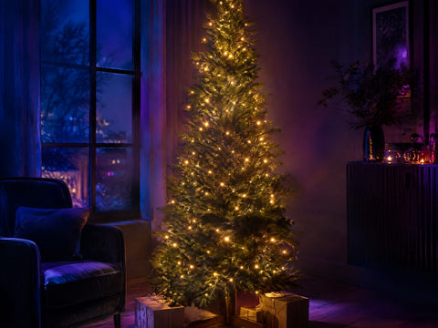 Sapins Lumineux