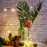 Guirlande lumineuse fil vert LED 10 à 200 m – guirlande autour de bouteilles et de plantes sur un mur de briques