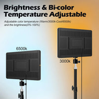 Key light LED USB sur trépied de 110 cm, streaming et visioconférence