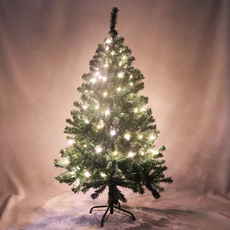 Guirlande photo lumineuse à pinces LED – guirlande autour d'un sapin de Noël