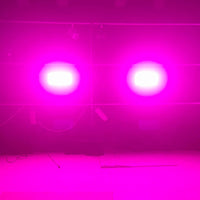 Stroboscope LED 200 W – deux projecteurs en lumière rose dans une salle