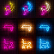Néon LED chat et lune, chat allongé ou chat qui marche, enseigne USB
