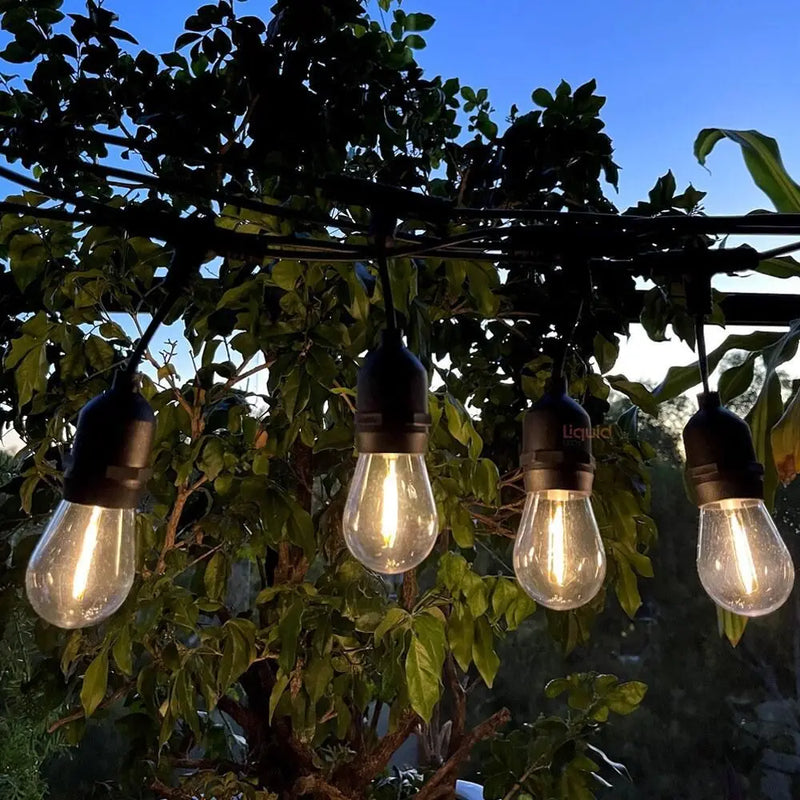 Guirlande guinguette S14 E27 – ampoules allumées sous une pergola de jardin