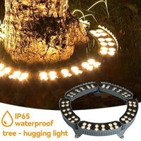 Spot arbre extérieur LED IP65, lot de 5 modules, anneau de 31 cm