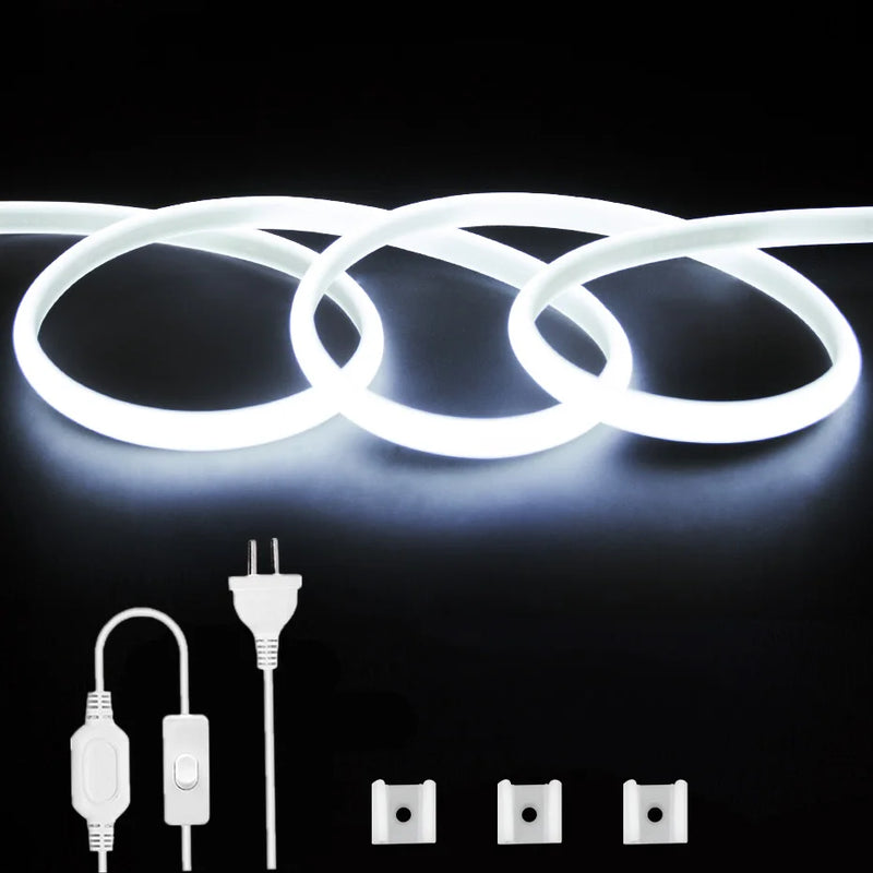 Ruban LED COB 220 V – blanc froid en boucles avec câble à interrupteur