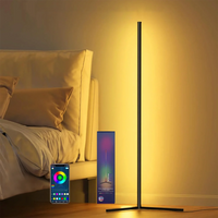Lampadaire LED RGB USB avec télécommande et application, 40 ou 155 cm