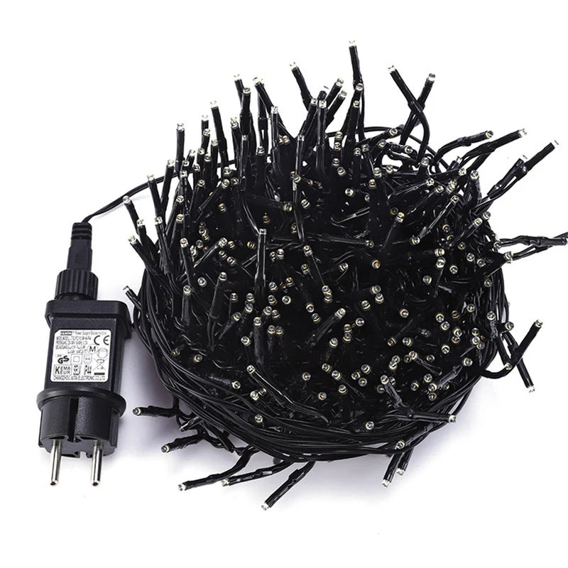 Guirlande lumineuse en grappes blanc chaud – transformateur et guirlande