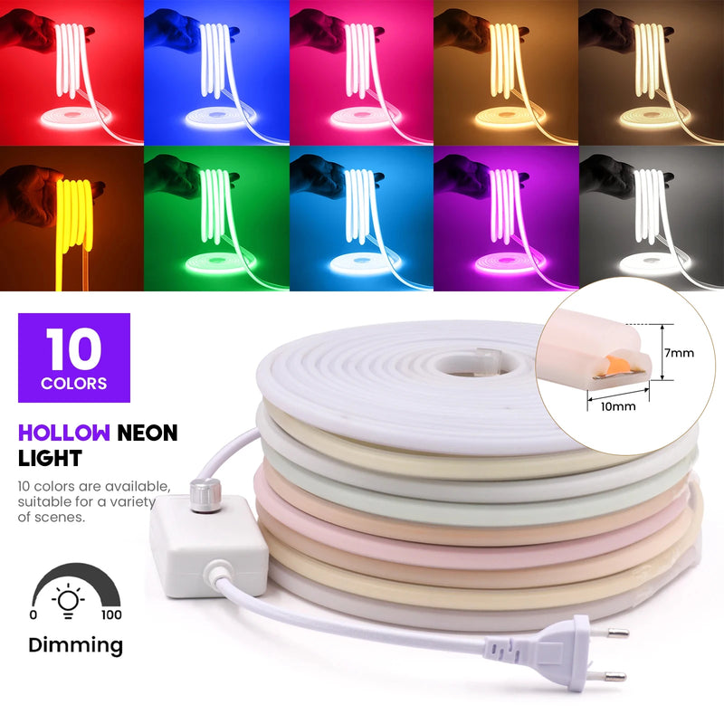 Ruban LED néon extérieur IP67 220 V à variateur – dix couleurs et variateur