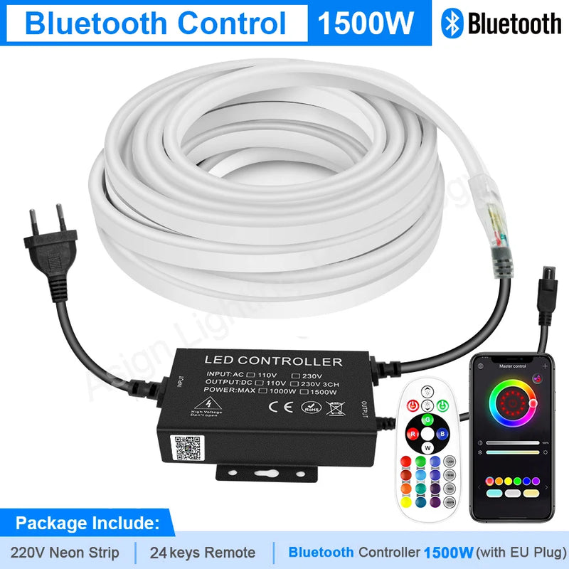 Ruban néon LED RGB 220 V – vue 9