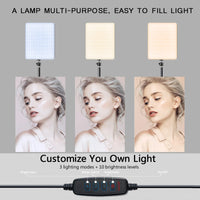 Key light LED USB sur trépied de 110 cm, streaming et visioconférence