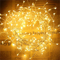 Guirlande lumineuse en grappes LED – lumière blanc chaud, détail