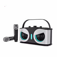 Enceinte karaoké à effets de voix – version noir et argent clair avec ses 2 micros