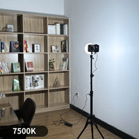 Lumière vidéo COB 100 W – vue 4