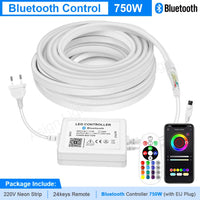 Ruban néon LED RGB 220 V – vue 8