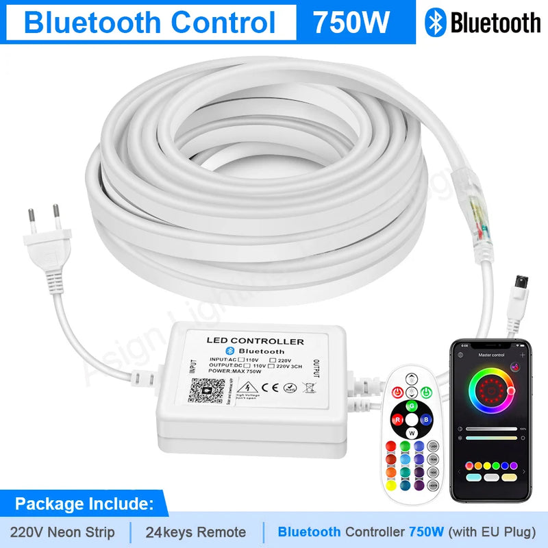 Ruban néon LED RGB 220 V – vue 8