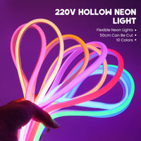 Ruban LED néon extérieur IP67 220 V à variateur – ruban néon creux flexible en dix couleurs