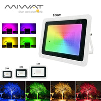 Projecteur RGB IP68 – modèle 100 W à coque blanche, tailles 20, 30 et 50 W et arbres éclairés en couleurs