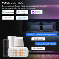 Ruban LED COB RGBIC adressable – vue 5