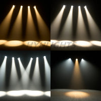 Projecteur LED COB à zoom – faisceaux blanc chaud et blanc froid, vue au sol