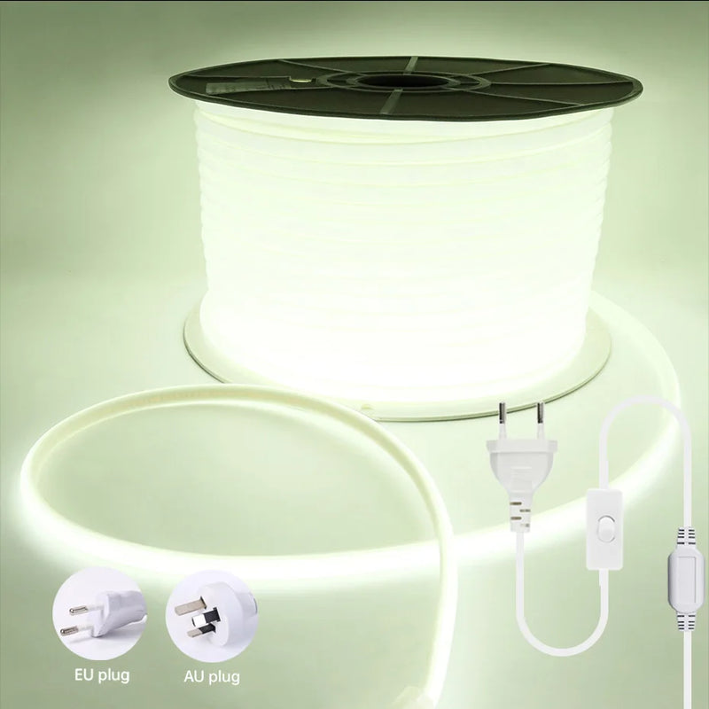 Ruban LED extérieur COB 220 V IP65 à interrupteur, 288 LED/m, 0,5 à 50 m