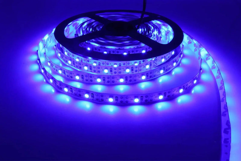 Ruban LED à piles à détecteur – ruban allumé en bleu