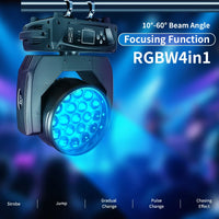 Lyre LED wash zoom 19 x 15 W – lyre suspendue, zoom de 10° à 60° et programmes d'effets