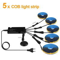Ruban LED COB noir – kit de cinq rubans avec boîtier et capteur