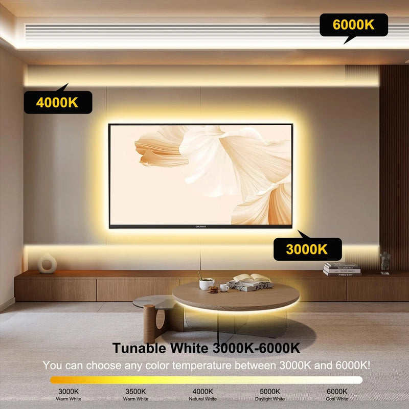 Ruban LED COB CCT 12 V – rétroéclairage de téléviseur en 3000 K, 4000 K et 6000 K