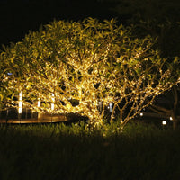 Guirlande lumineuse extérieur pro fil transparent 10 à 100 m, 8 modes