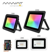 Projecteur RGB IP68 – tailles 20, 30, 50 et 100 W, coques noire et blanche, télécommande