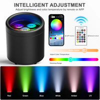 Uplight sans fil IP65 sur batterie, 6 LED RGBWA UV, télécommande et application