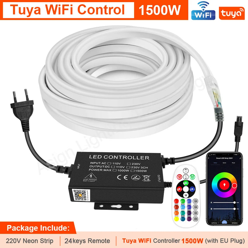 Ruban néon LED RGB 220 V – vue 11