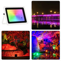 Projecteur RGB IP68 – coque blanche et mises en situation : pont, arbre rouge, grotte colorée