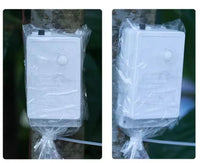 Guirlande féerique fil transparent – boîtiers de commande protégés par un sachet sur un tronc