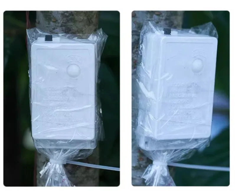 Guirlande féerique fil transparent – boîtiers de commande protégés par un sachet sur un tronc