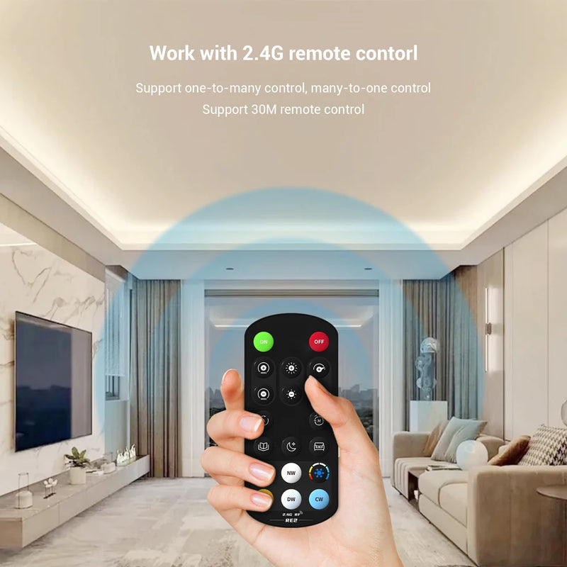 Ruban LED COB CCT 12 V – vue 14