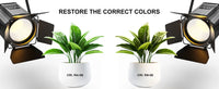Projecteurs PAR LED COB à volets – rendu des couleurs sur des plantes