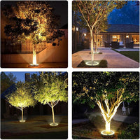 Spot arbre extérieur LED – exemples d'éclairage de pied d'arbre la nuit