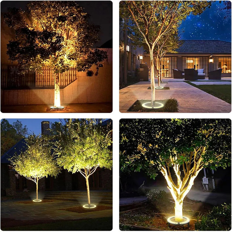 Spot arbre extérieur LED – exemples d'éclairage de pied d'arbre la nuit
