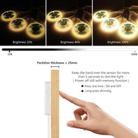 Ruban LED COB 12 V à capteur tactile – réglage de l'intensité de 10 à 100 % et capteur à travers une cloison de 25 mm