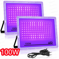 Projecteur lumière noire LED UV 395 nm, 50 à 150 W, 1 ou 2 pièces