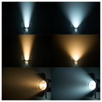 Projecteur LED COB à zoom – faisceaux en blanc chaud et en blanc froid