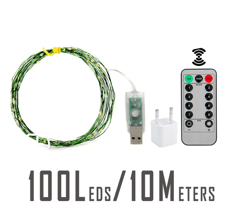Guirlande fil vert – format 10 m, 100 LED avec adaptateur USB et télécommande
