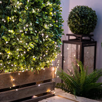 Guirlande fil vert – haie décorée de points lumineux blancs