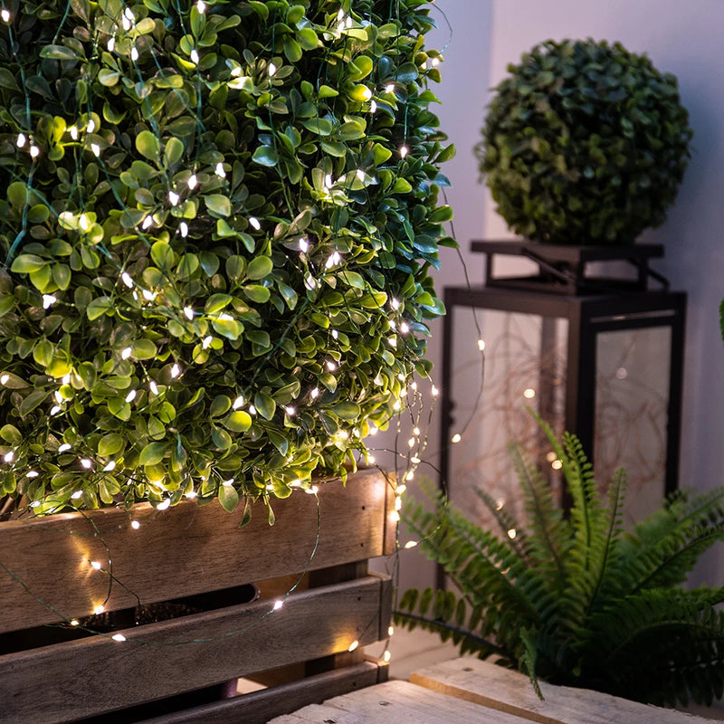 Guirlande fil vert – haie décorée de points lumineux blancs