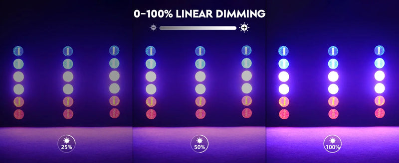 Projecteurs vintage 6 LED COB – gradation linéaire de 0 à 100 %