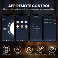 Ruban LED extérieur 220 V COB IP65 – commande par application : musique, minuterie et variation