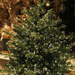 Guirlande lumineuse en grappes IP44, 8 modes, minuterie, 6 à 100 m
